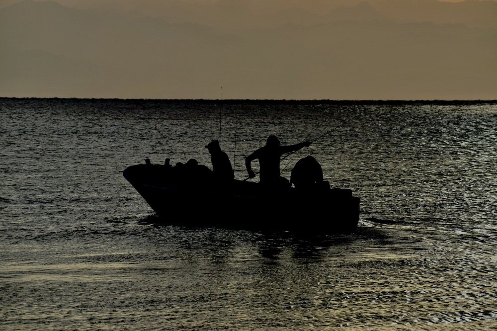 Photograph by Yara Mourad