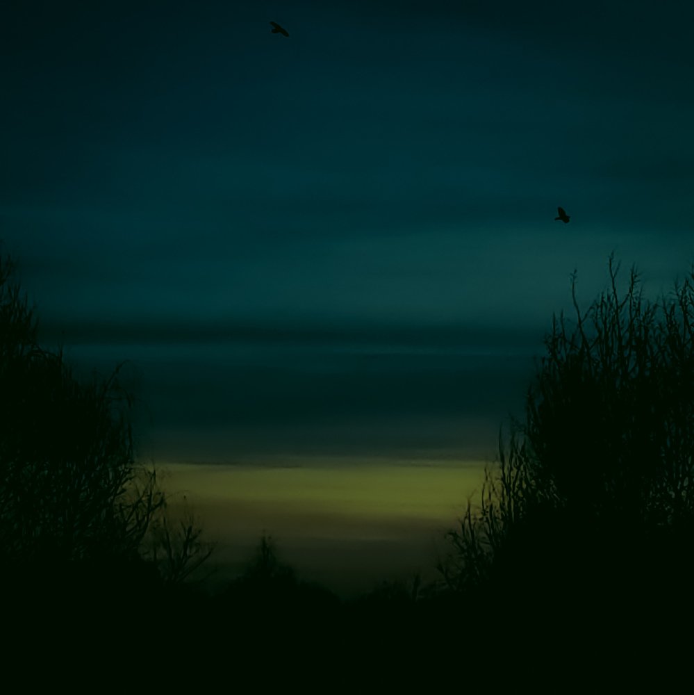 Photo #4704656