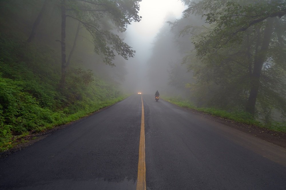 Photograph by Saeed Mamdouhi