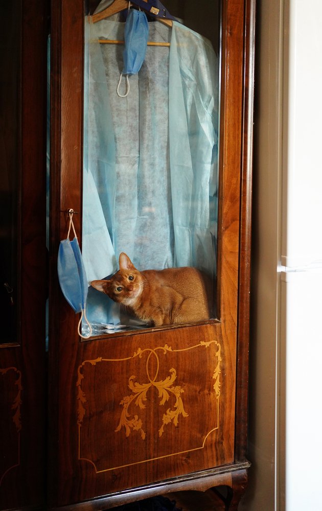 Фотография автора Владимир Осадчиев