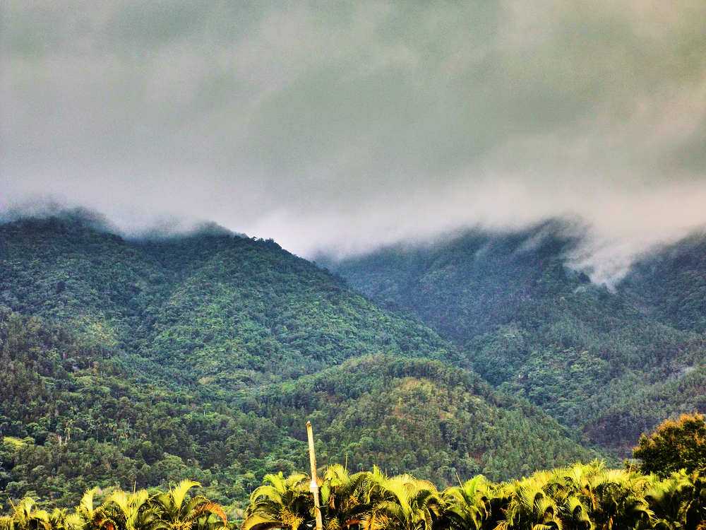 Photograph by José Luis Pascual Jiménez