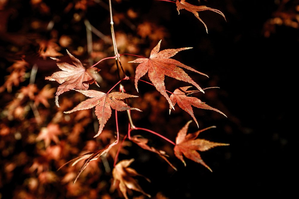 Photograph by Marek Durajczyk