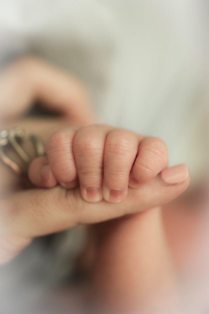 Photograph by Мария Самохина