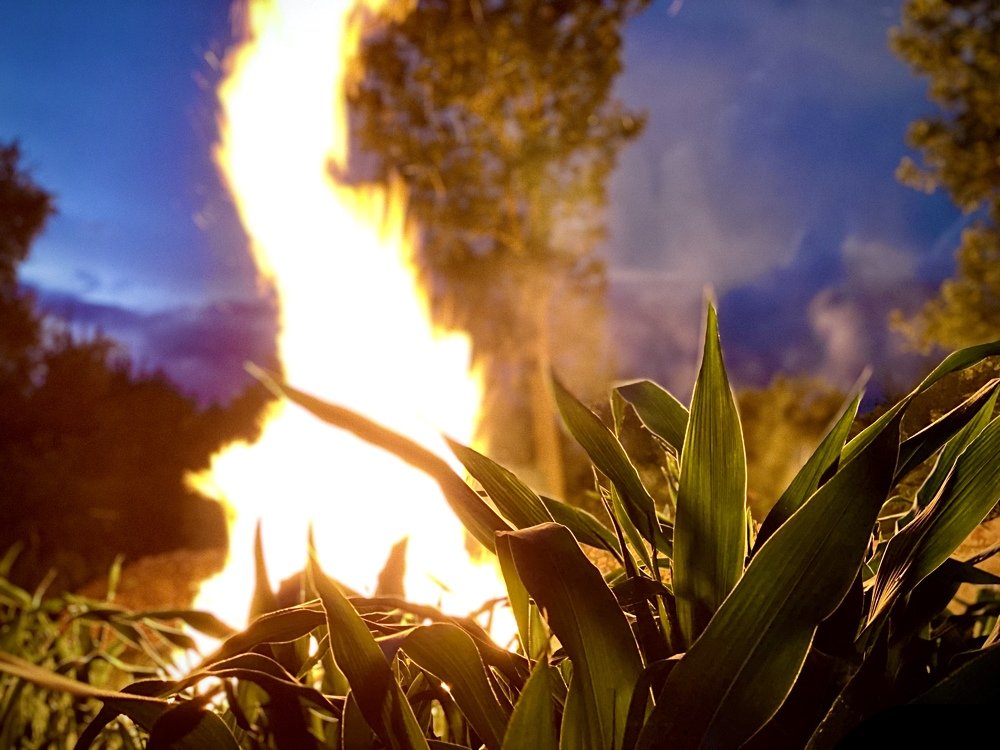 Photograph by Evgeniia Heißenhuber