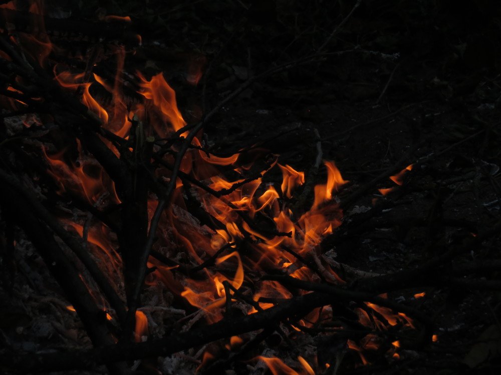 Photograph by Марина Осипова