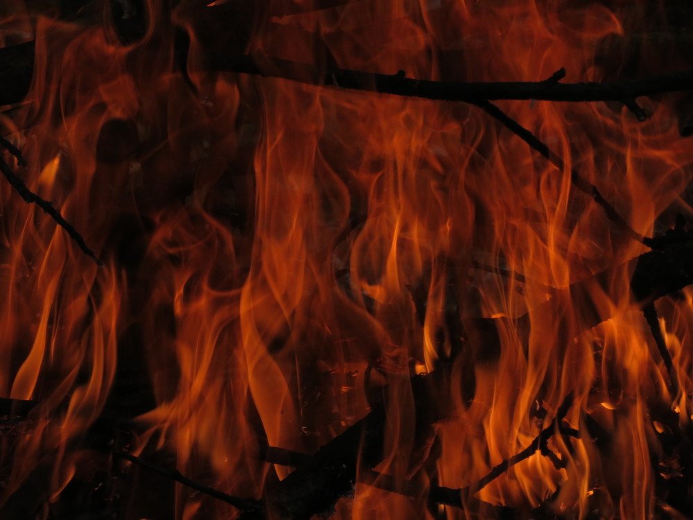 Photograph by Марина Осипова