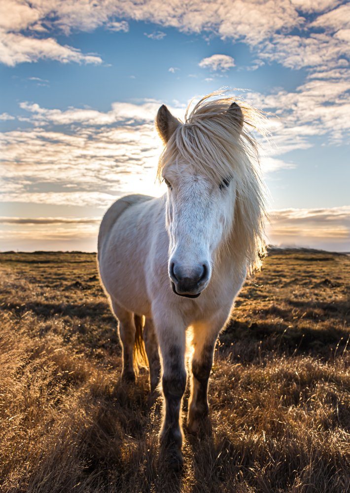 Photograph by Fabián Chiavassa