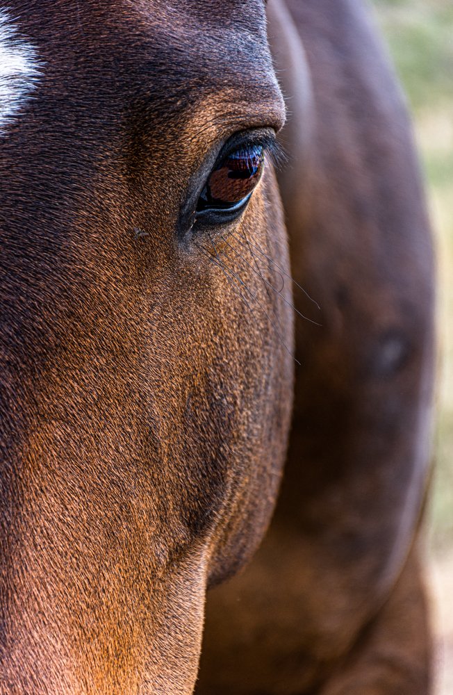 Photograph by Fabián Chiavassa