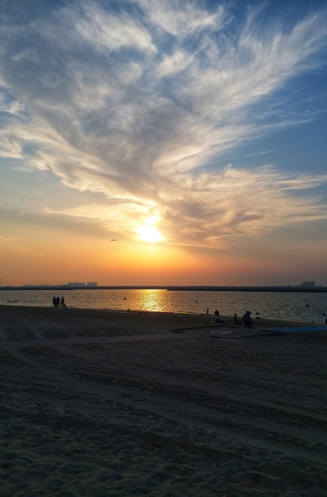 Photo #4704945