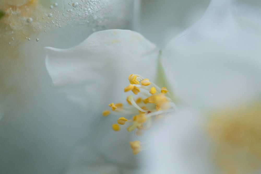 Фотография автора Оксана Мерзликина