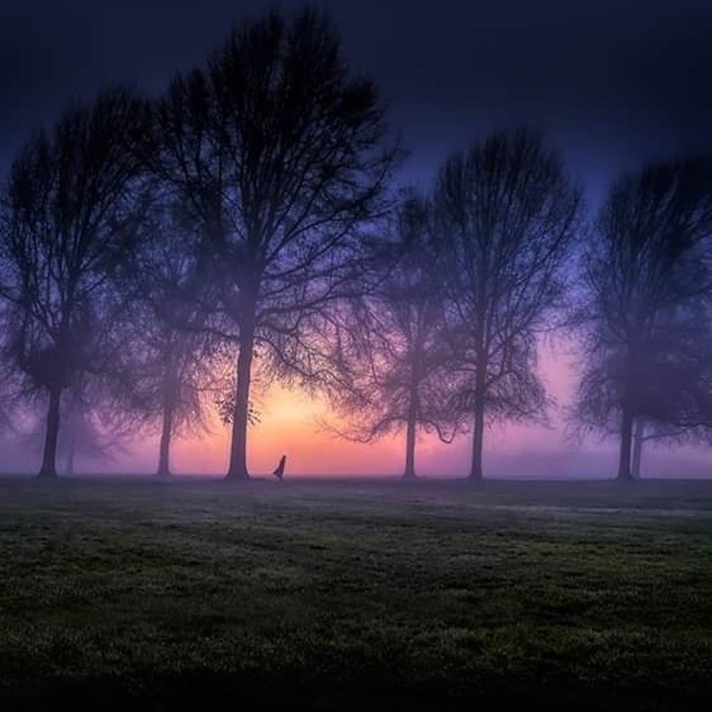 Photograph by Terri Martin