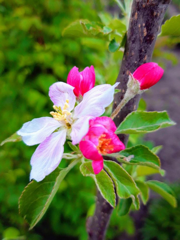 Photograph by Ольга Kривко