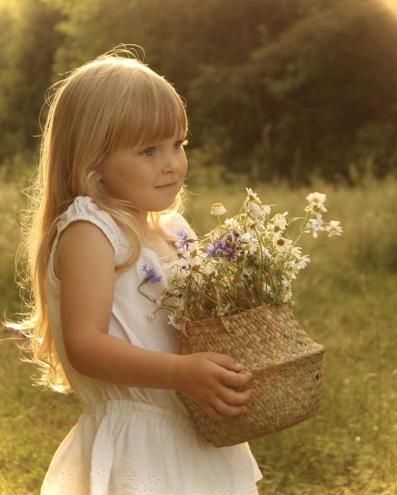 Милая ромашка.