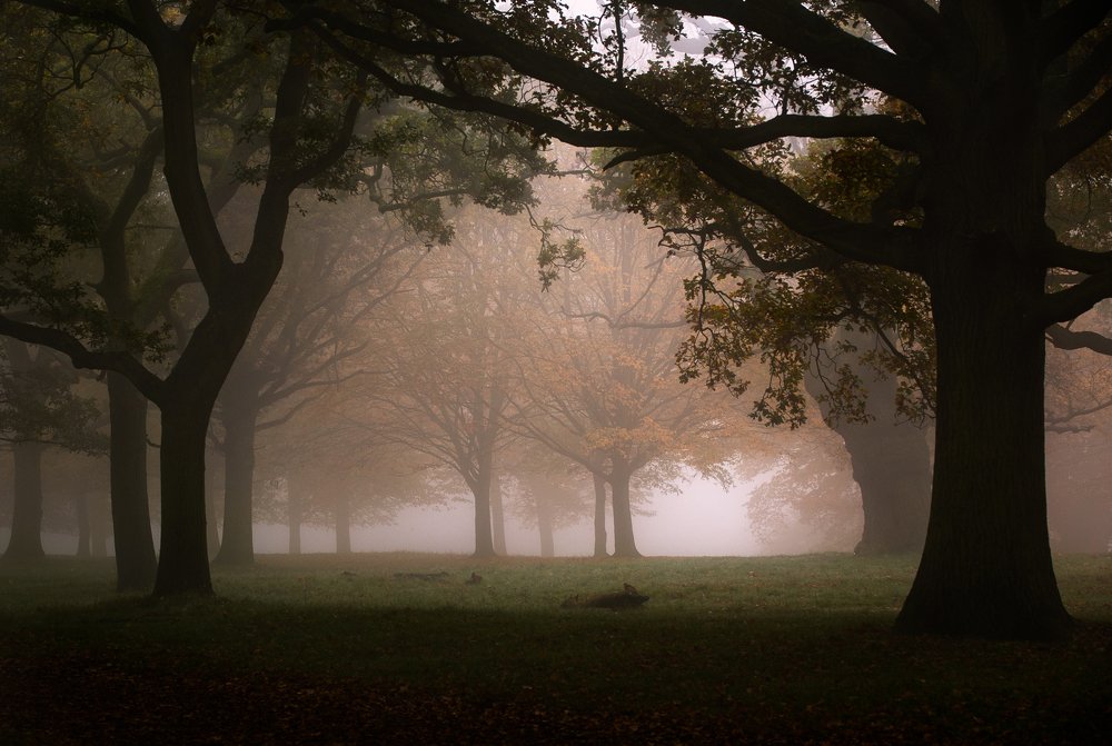 Фотография автора Оксана Мерзликина