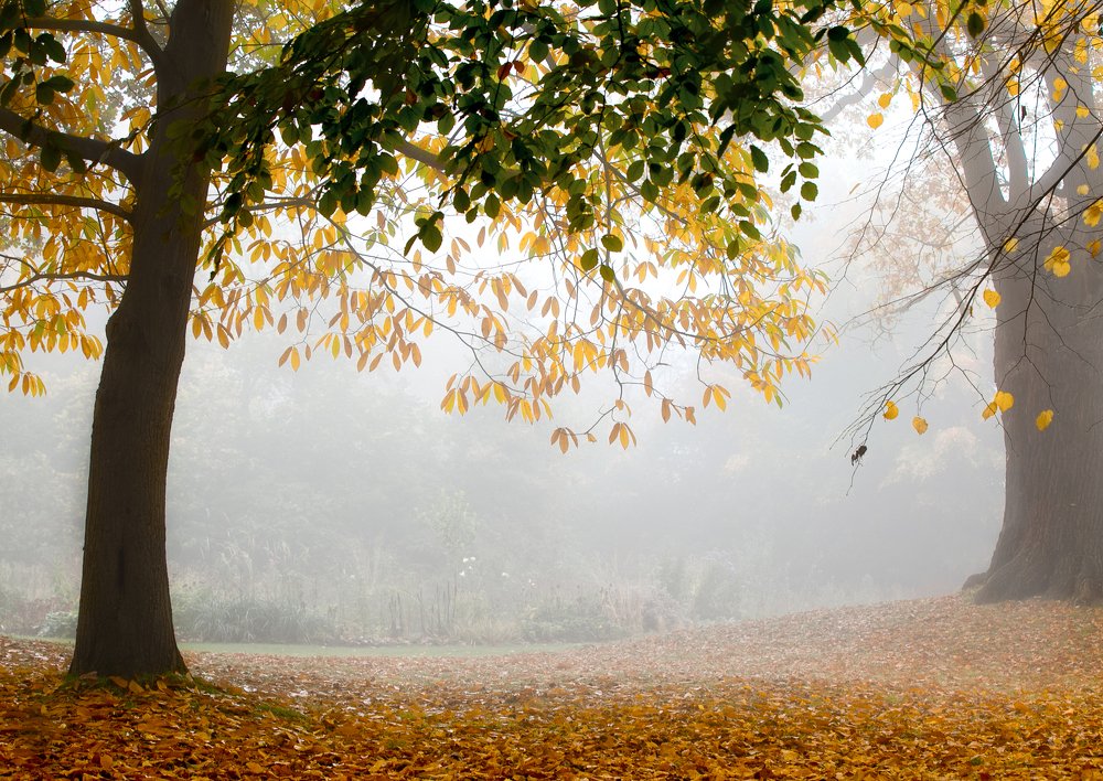 Фотография автора Оксана Мерзликина