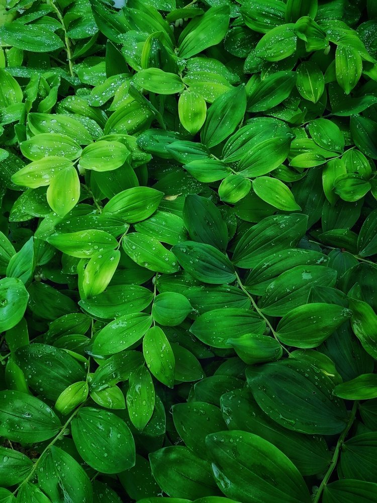 Photograph by Марина Колпакова