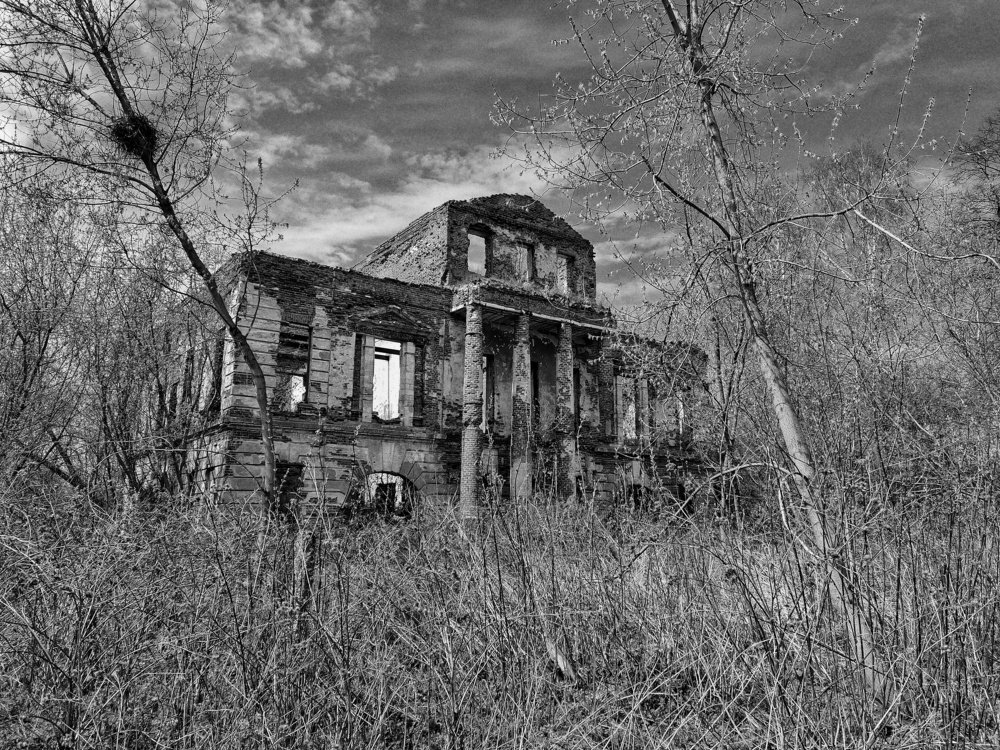 Photograph by Марина Колпакова