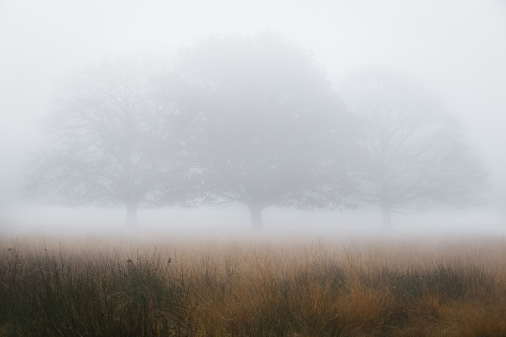 Фотография автора Оксана Мерзликина