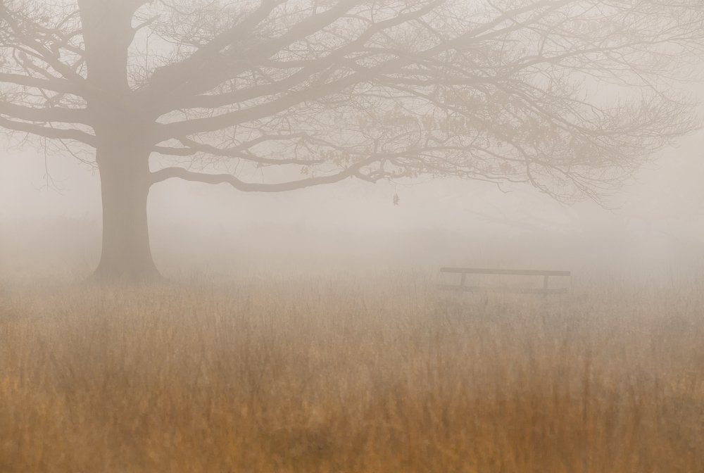 Фотография автора Оксана Мерзликина