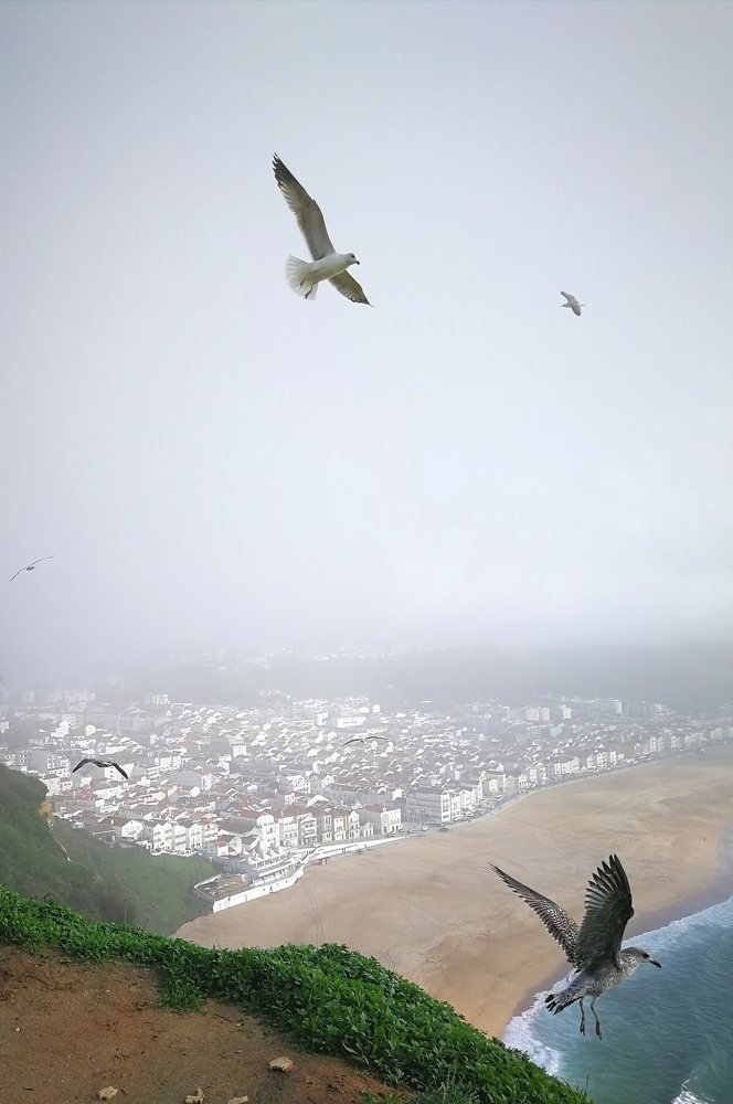 Photograph by Иван Шатный