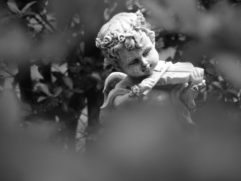 Photograph by Juan Sebastian Rincón