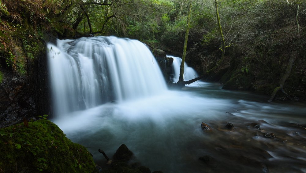 Photograph by Василь Гуцал