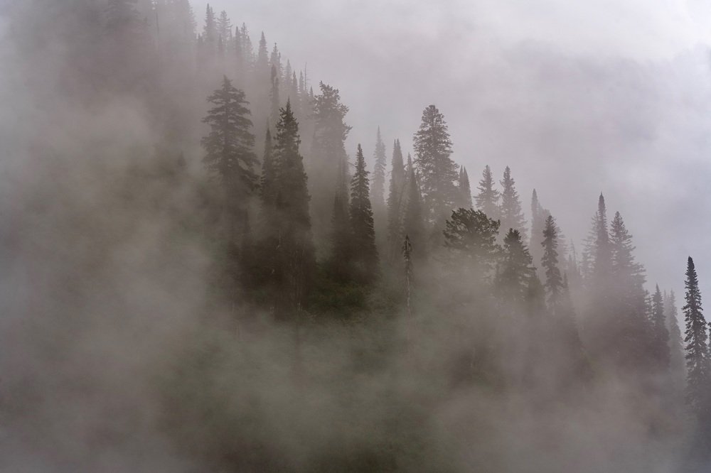 The fog rolls through the mountains