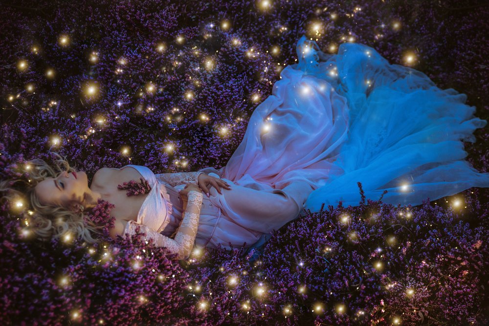 Photograph by Paula Luna