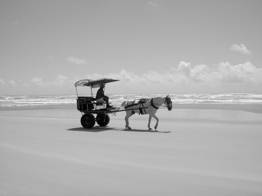 Photograph by Cristian Díaz