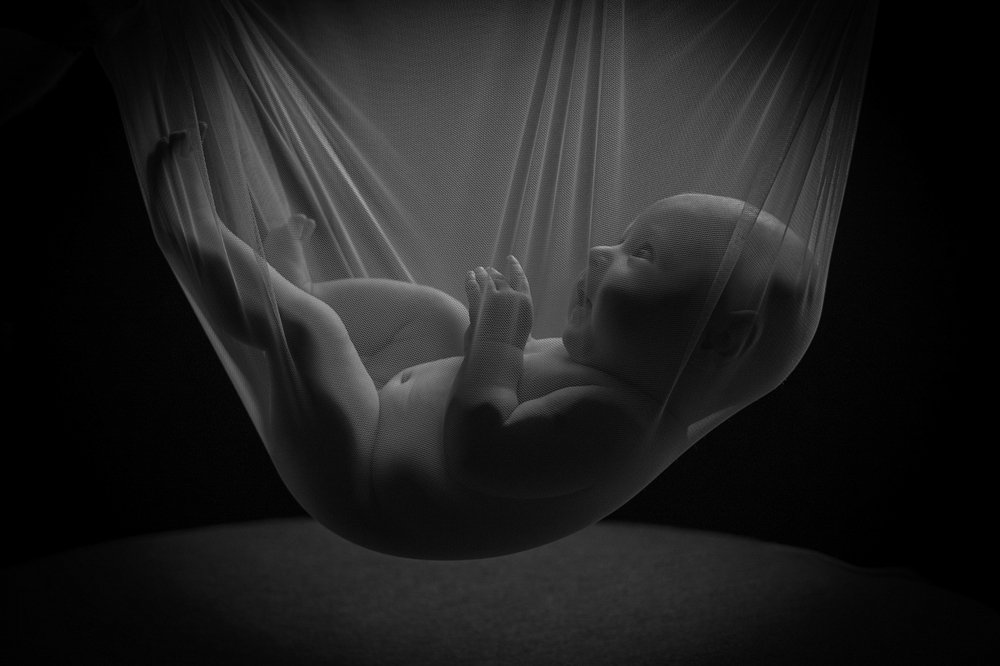 Photograph by Азаренко Сергей