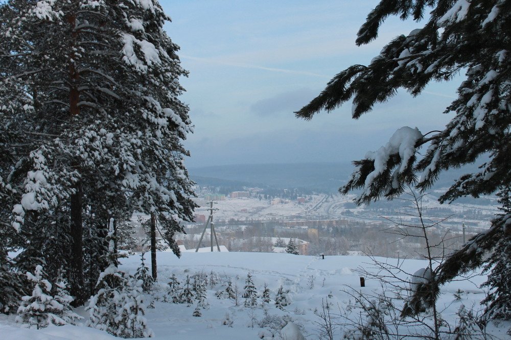 Photograph by Галина Радчук