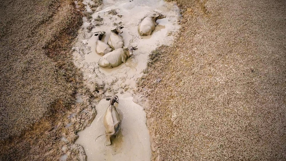 Photograph by Nguyen Dang Phong