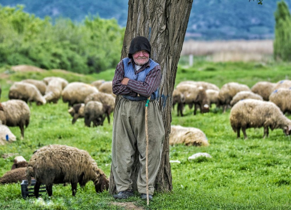 Photograph by sherko Kanisanani