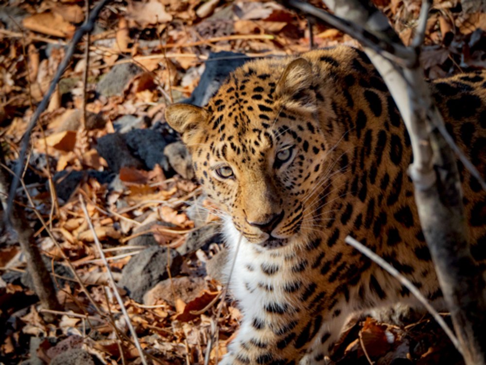 Photograph by Матвей Матвеев