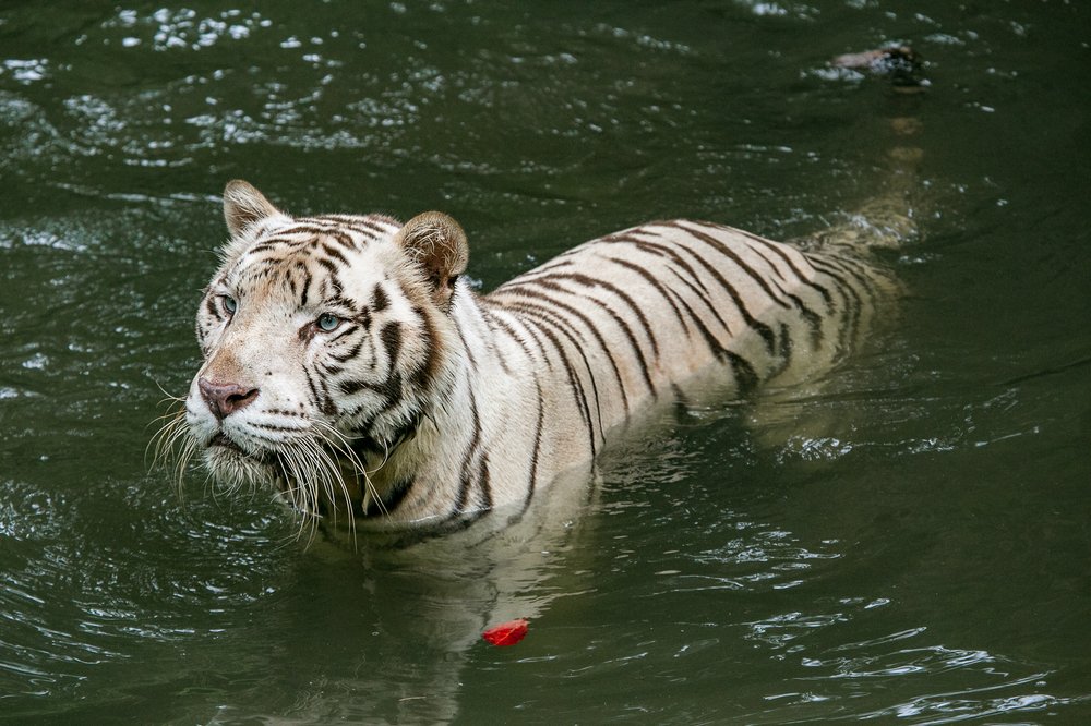 Photograph by Матвей Матвеев