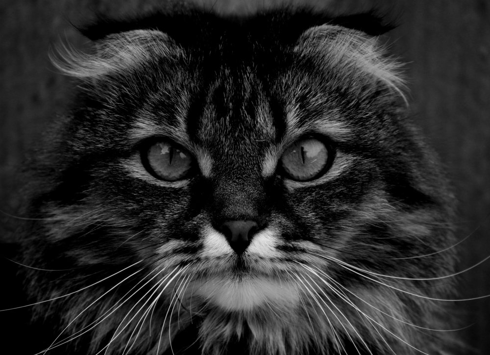 Photograph by Зоя Быкова