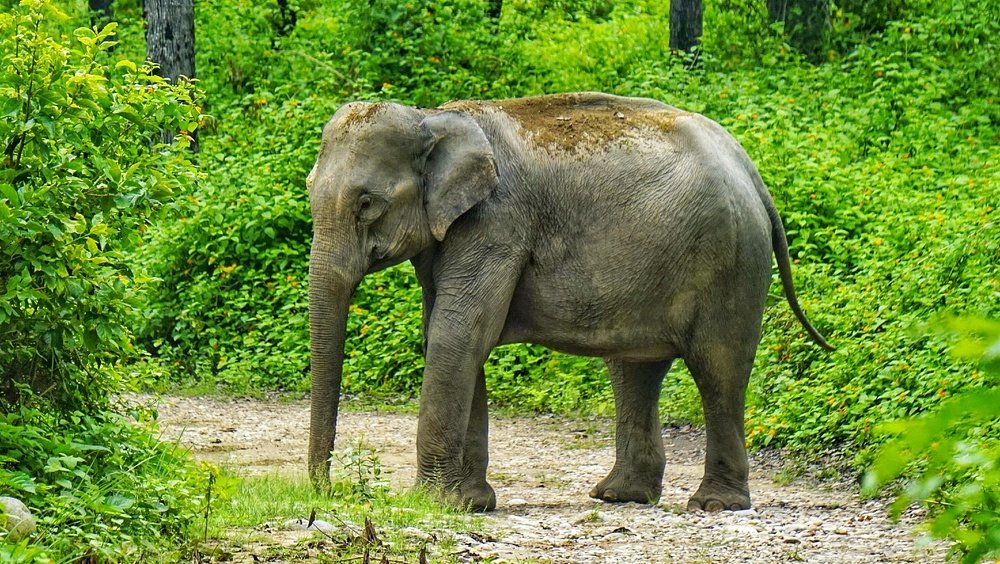 Photograph by Shivang Jindal