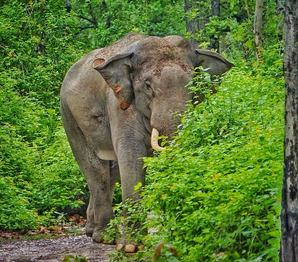 Photograph by Shivang Jindal