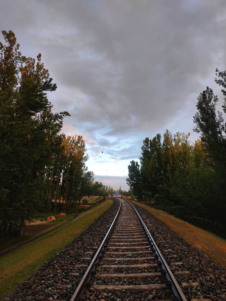 Photograph by  TAWHEED NAZIR BHAT