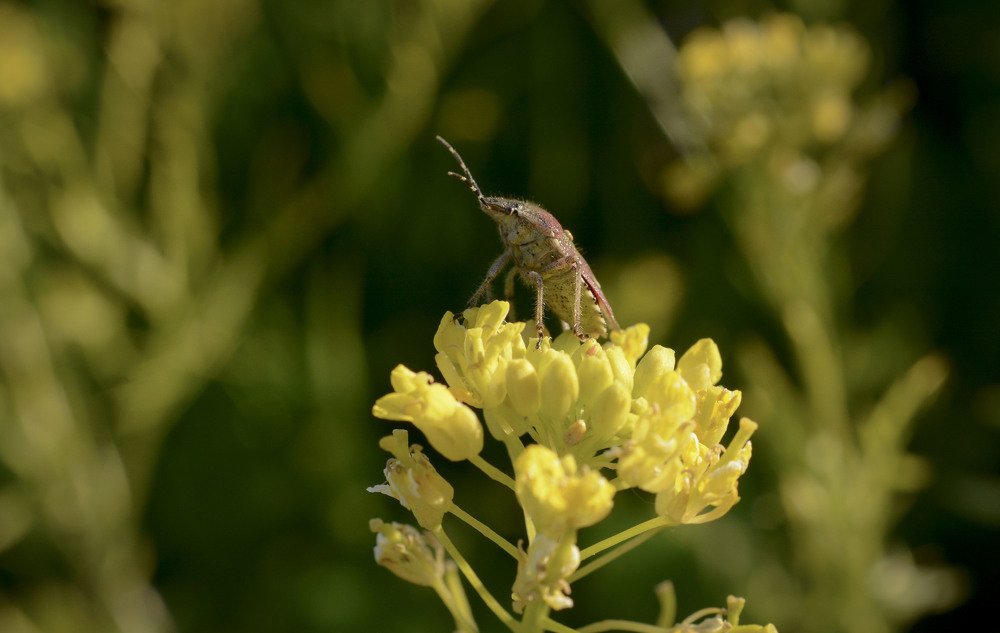 Photograph by Юлия Лушникова