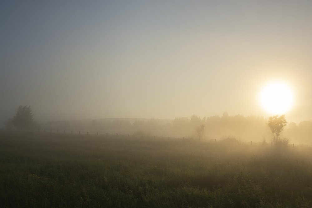 Восходящее в тумане