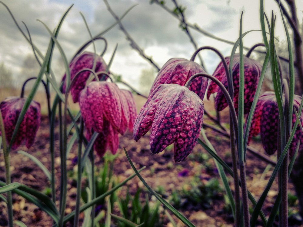 Photograph by Евгений Фазлеев