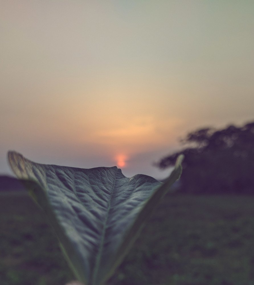 Photograph by Munna Zaved