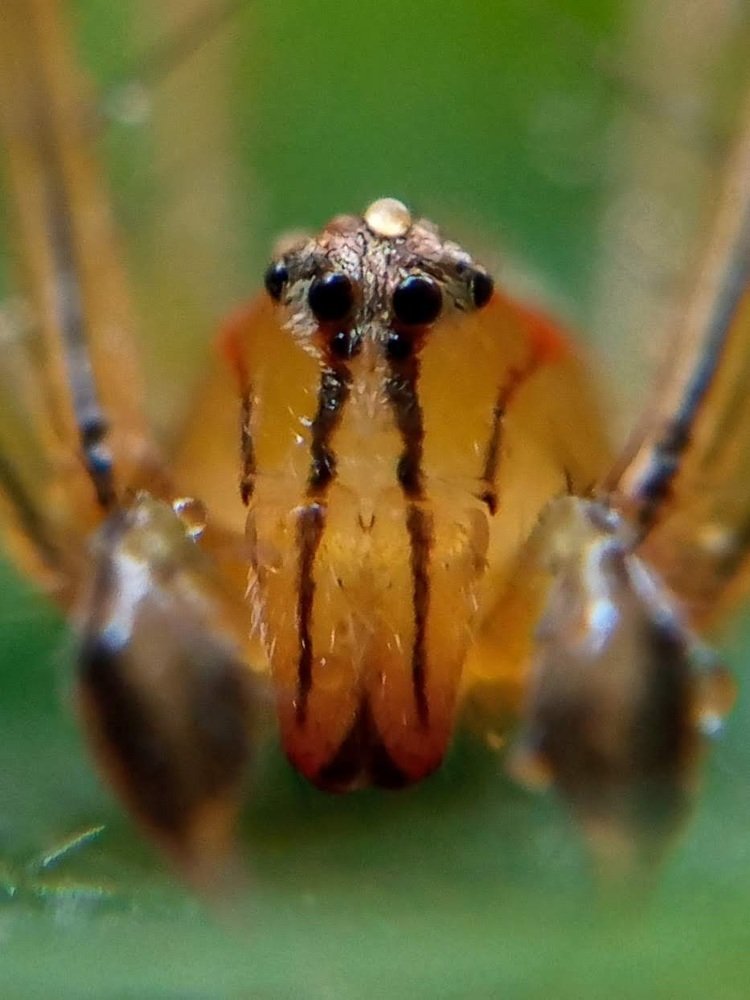 Photograph by Desikan Venkataraghavan