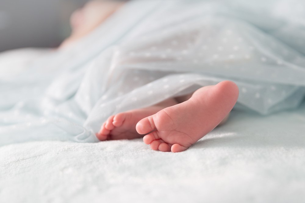 Фотография автора Елена Баврина