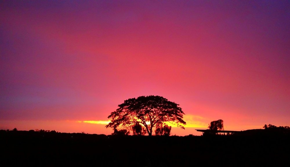 In the light of Twilight