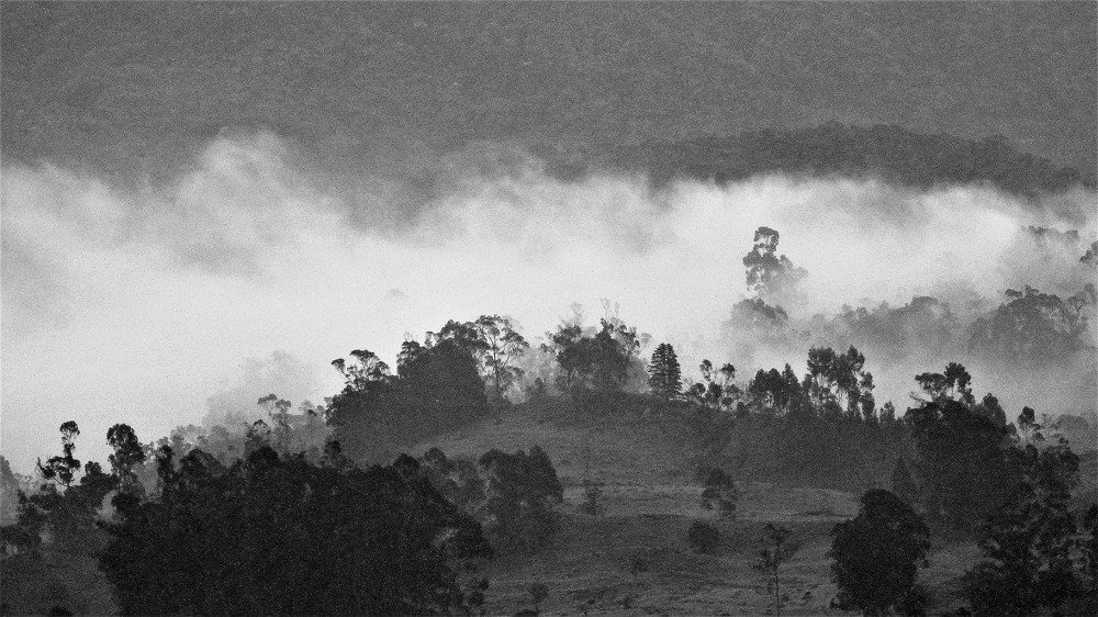 Photograph by JAIRO GALINDO