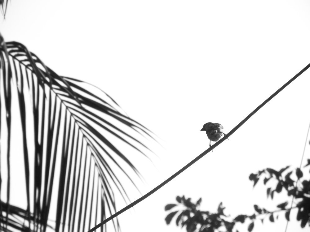 Photograph by Ahmed Imtiaj