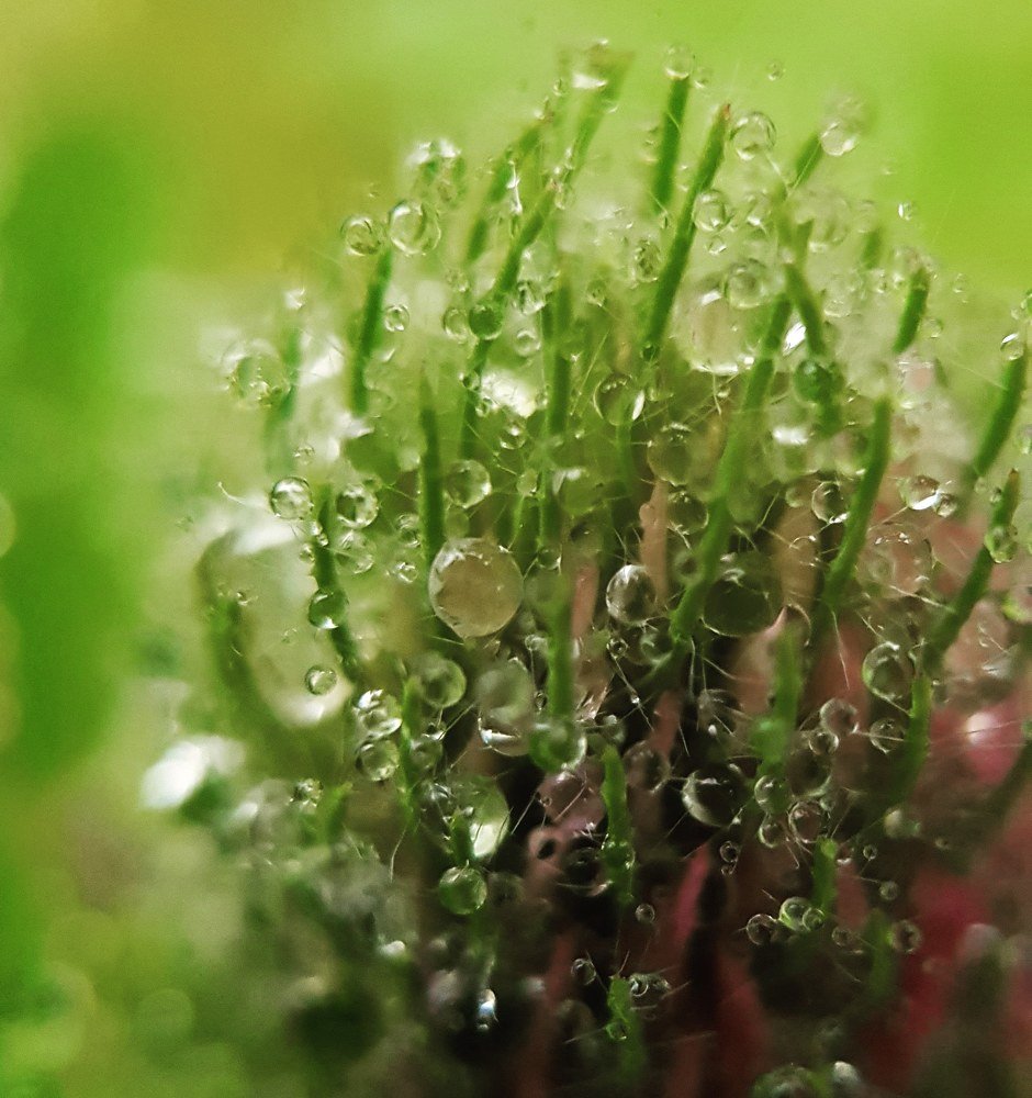 Photograph by Татьяна Мельникова