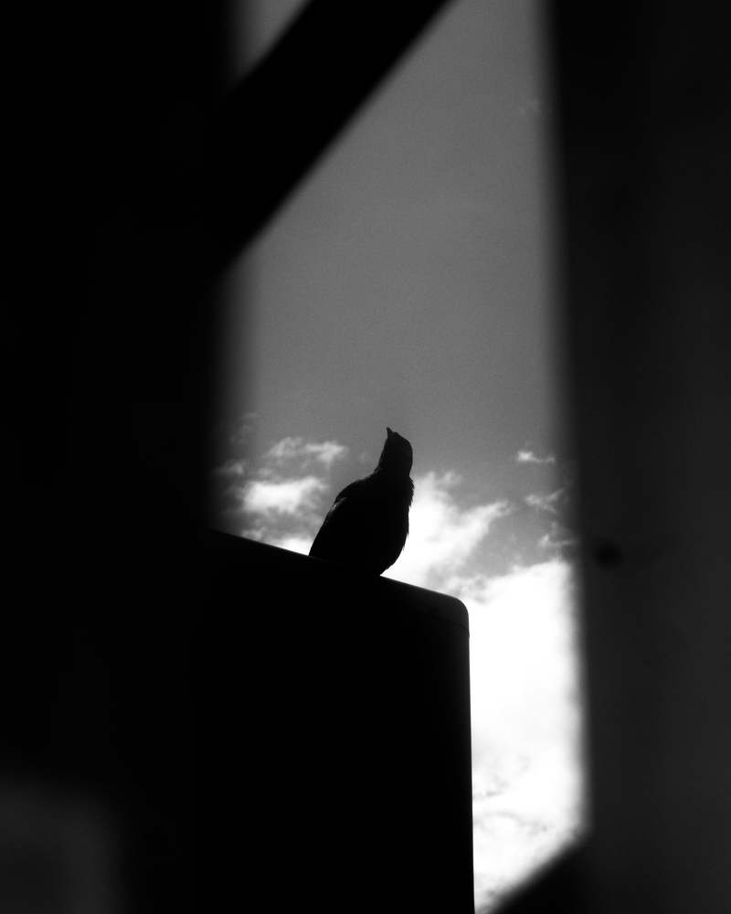 Photograph by Ahmed Imtiaj